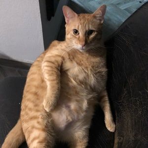 Meet your Posher, Ardyce